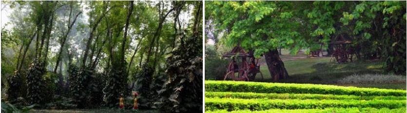 西双版纳景点、门票大全