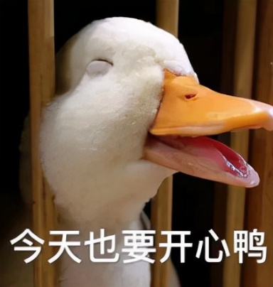 大曲线起诉,大曲线官司