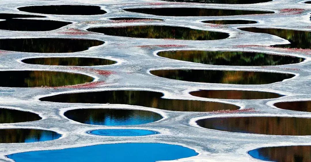 听说过斑马、斑点狗,你听说过斑点湖吗?