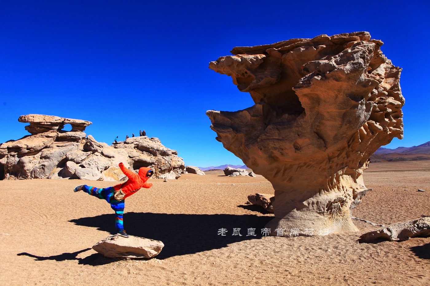 玻利维亚只看天空之镜？七彩湖火烈鸟4层楼高的仙人掌更精彩