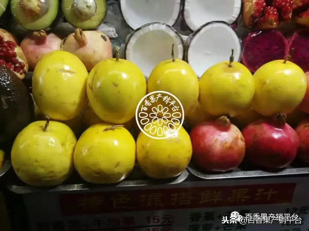 怎么分辨黄金百香果树苗的真假,紫色百香果与黄金百香果有何区别