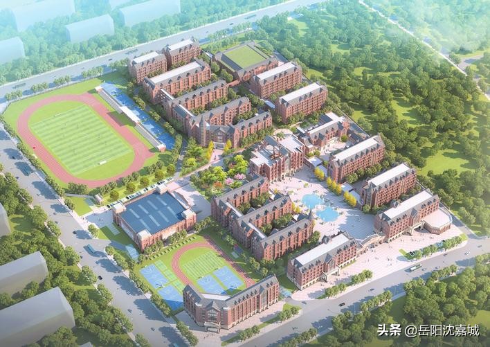 岳阳民办高中排名前十的学校,岳阳民办高中录取分数线