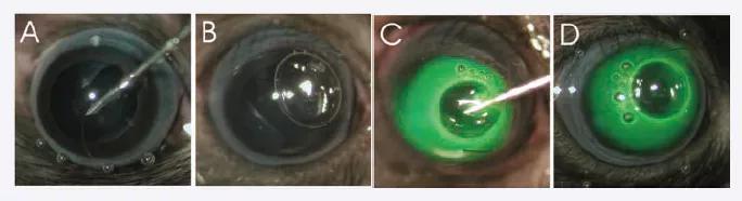 手把手教你工具病毒的注射方法（上）