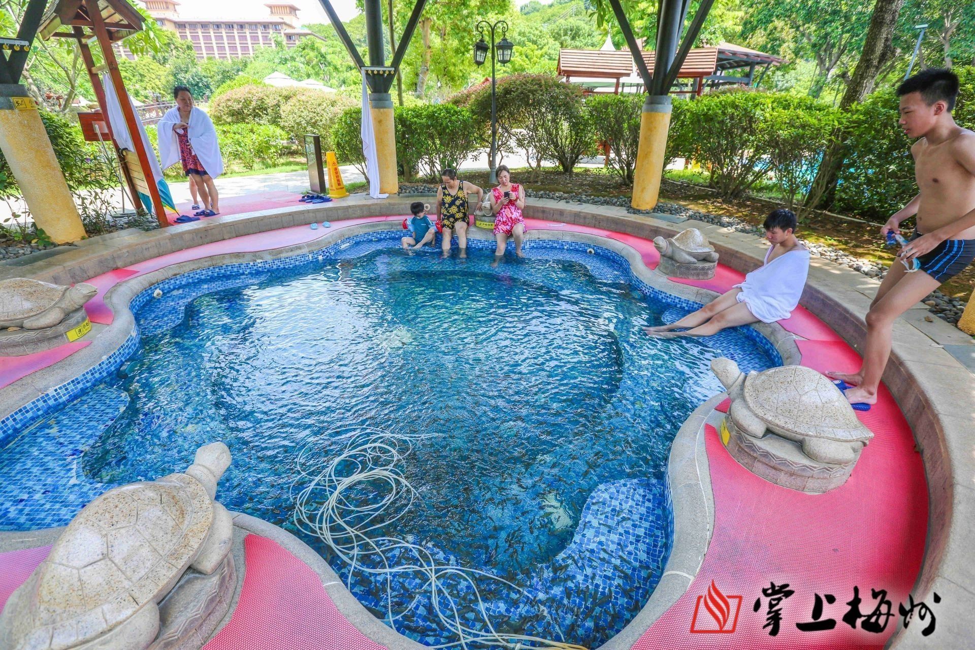 温泉引客来，“凤凰”振翅飞！梅州丰顺留隍抓住“产业兴”，群众吃上“文旅饭”