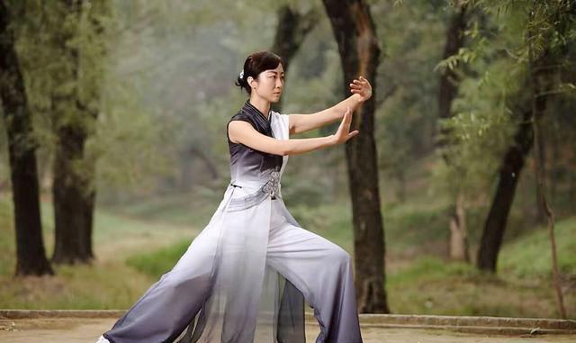 传统太极拳技击术揭秘,浅谈太极拳的特点1000字