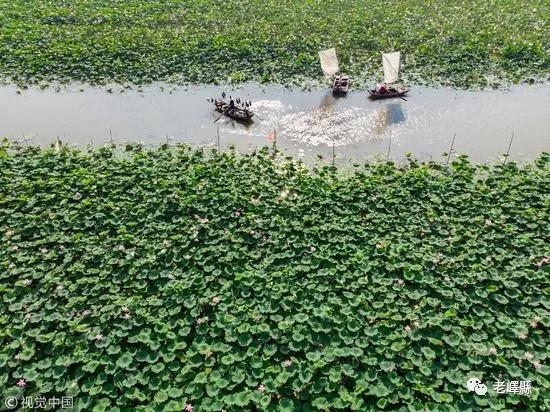 徐州为什么和山东很像,为什么徐州和山东亲近