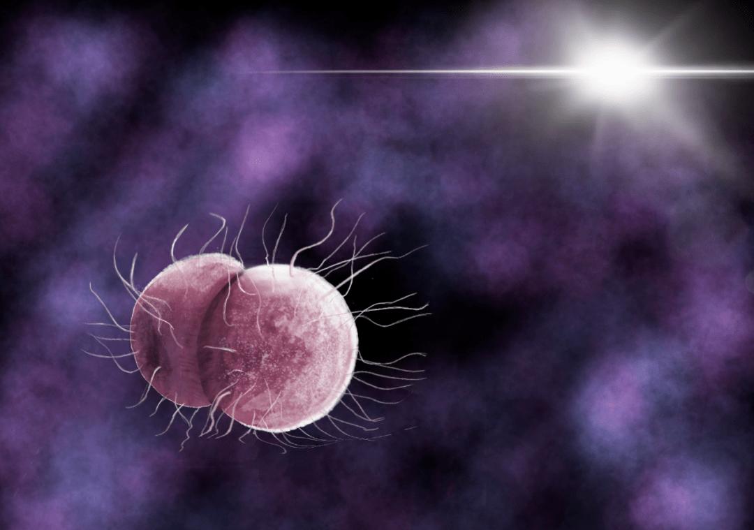 尖锐性湿疣和梅毒艾滋病哪个严重,尖锐湿疣和梅毒艾滋病有什么关系