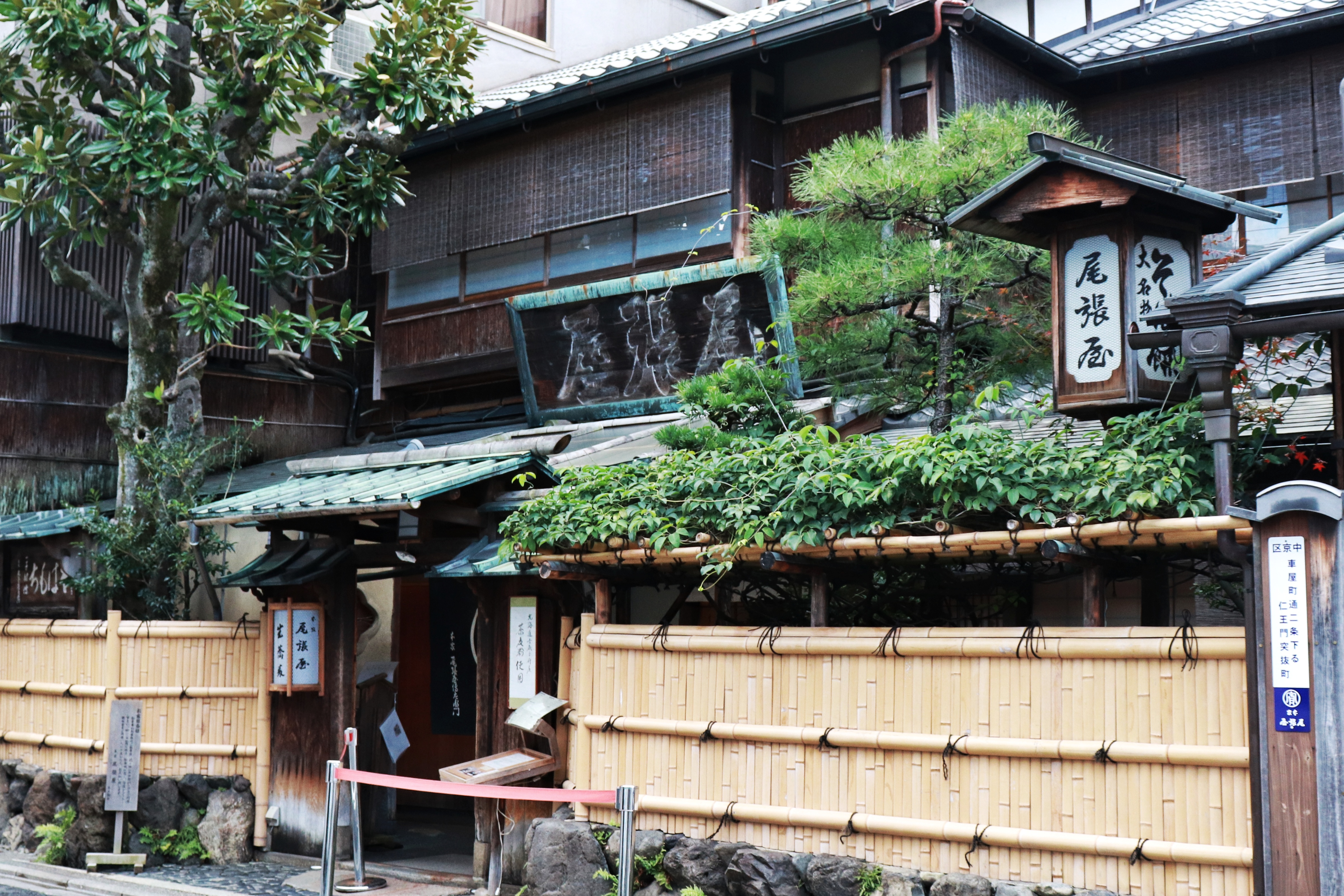 从甜品开始,从轻食到地道味荞麦面口感大比拼