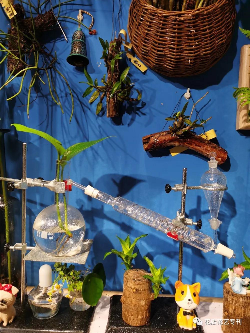 涓婃捣蹇呮墦鍗＄殑鑺卞簵,涓婃捣鑺卞簵缃戠孩