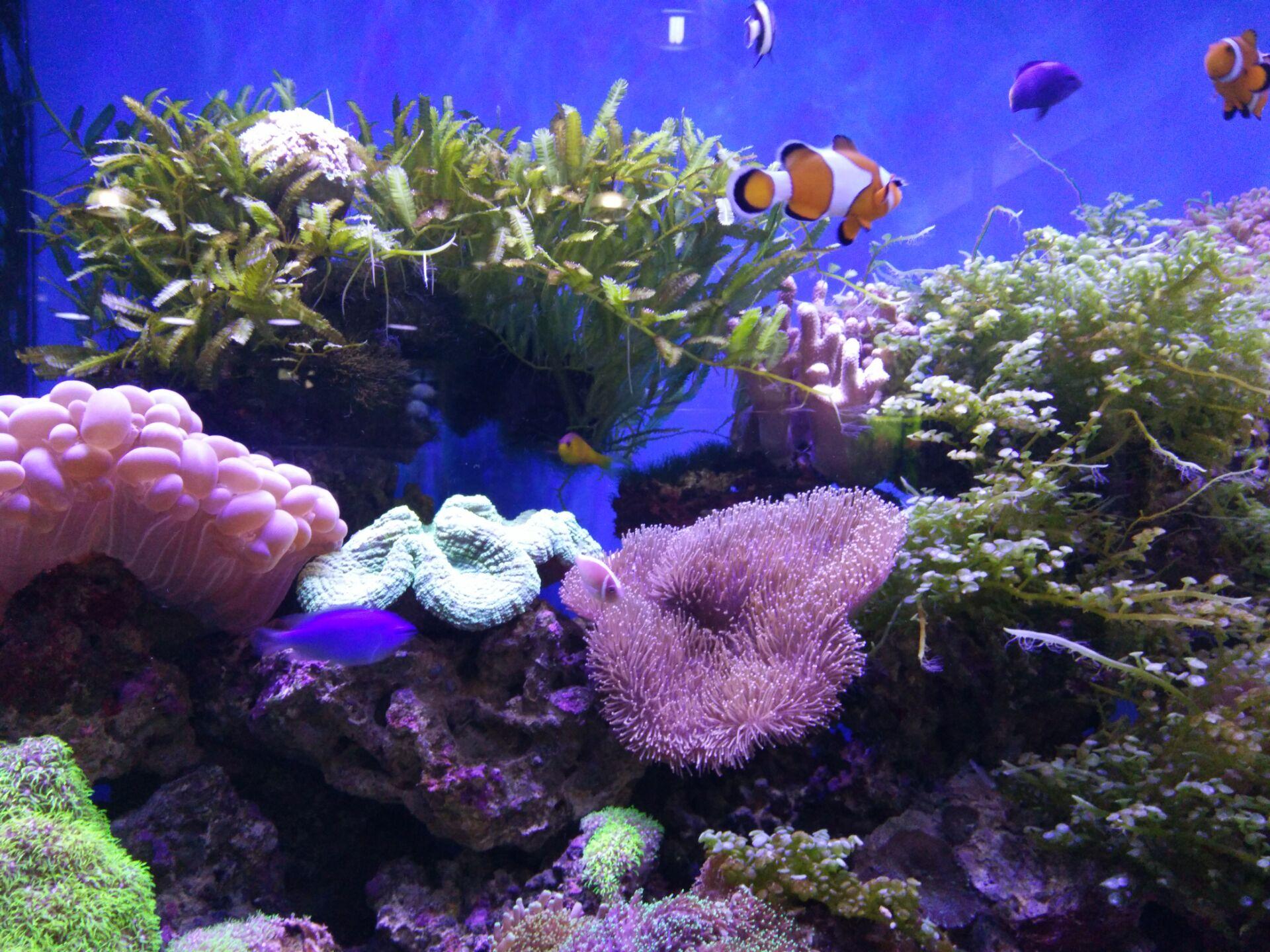 海缸都需要什么设备,海缸数值检测设备