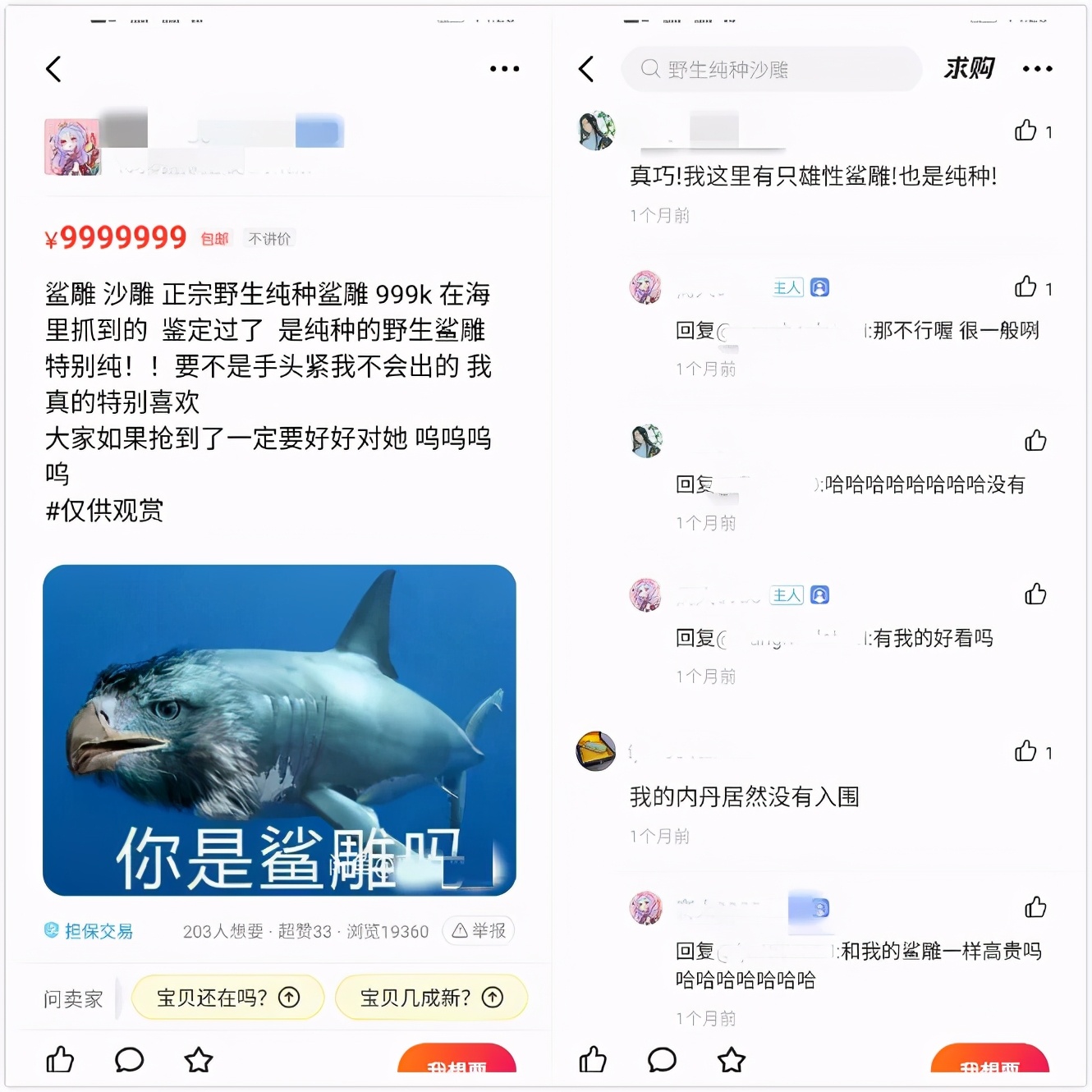 闲鱼上的外星人可以交易吗,在闲鱼商人买外星人靠谱吗