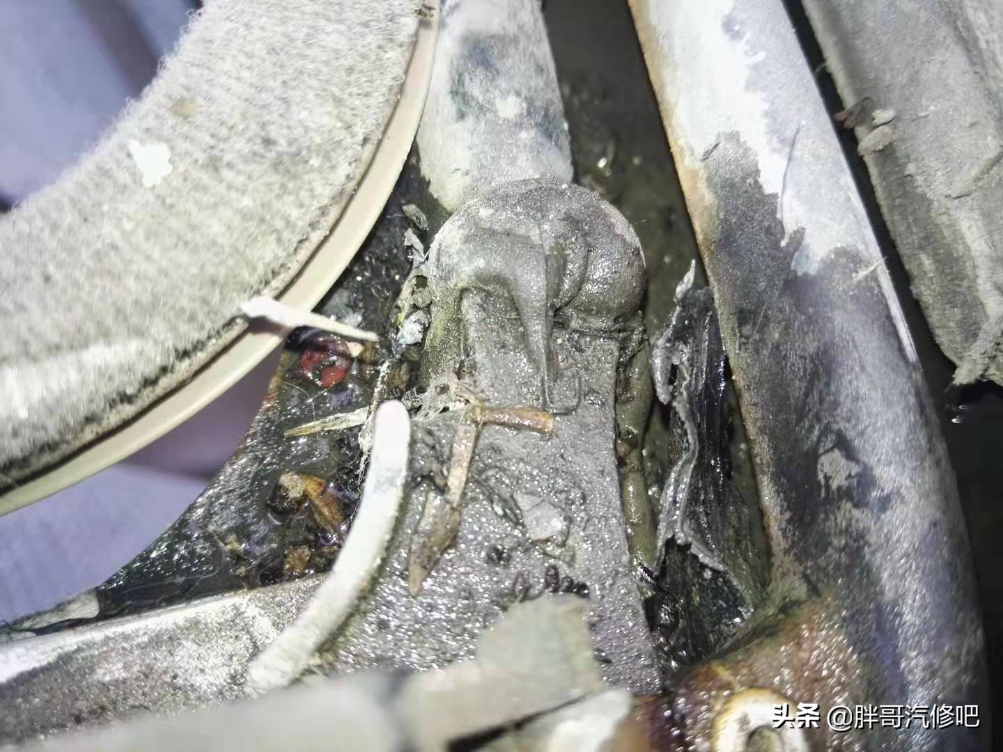 买天窗需要注意什么,维修天窗大约需要花费多少钱