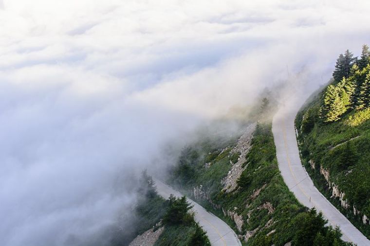 花香弥漫，云海林涛，这个小众景点真的美到让人窒息