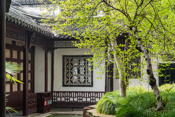 踏春赏花拍美景,踏春赏花逛湖