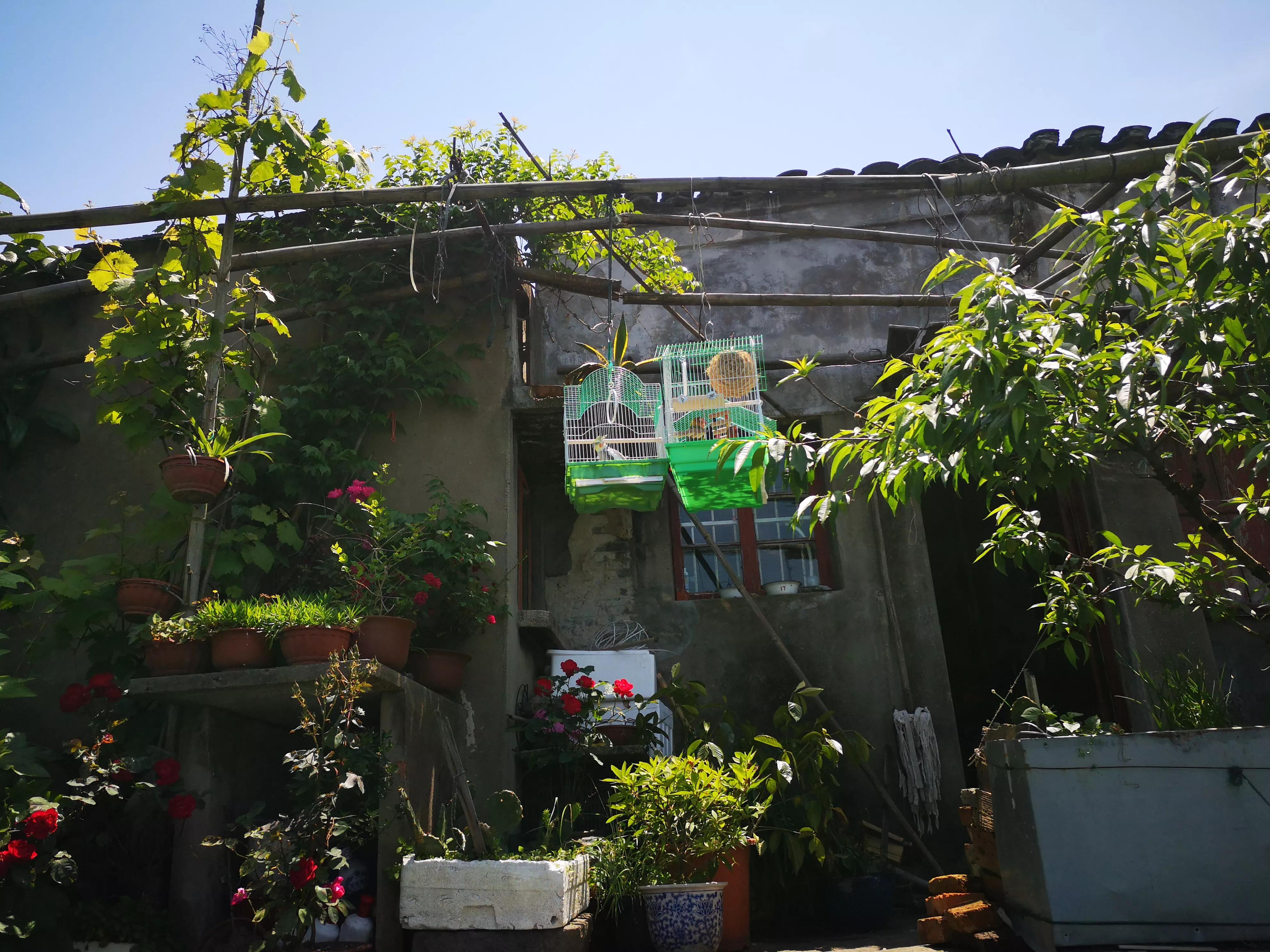 宁波东钱湖西湖,宁波东钱湖最大的西湖