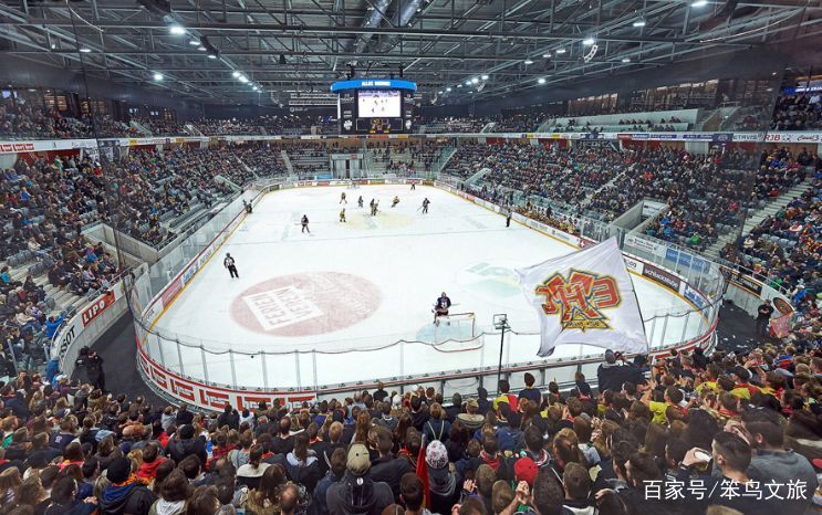 体育场导视,体育馆导视设计