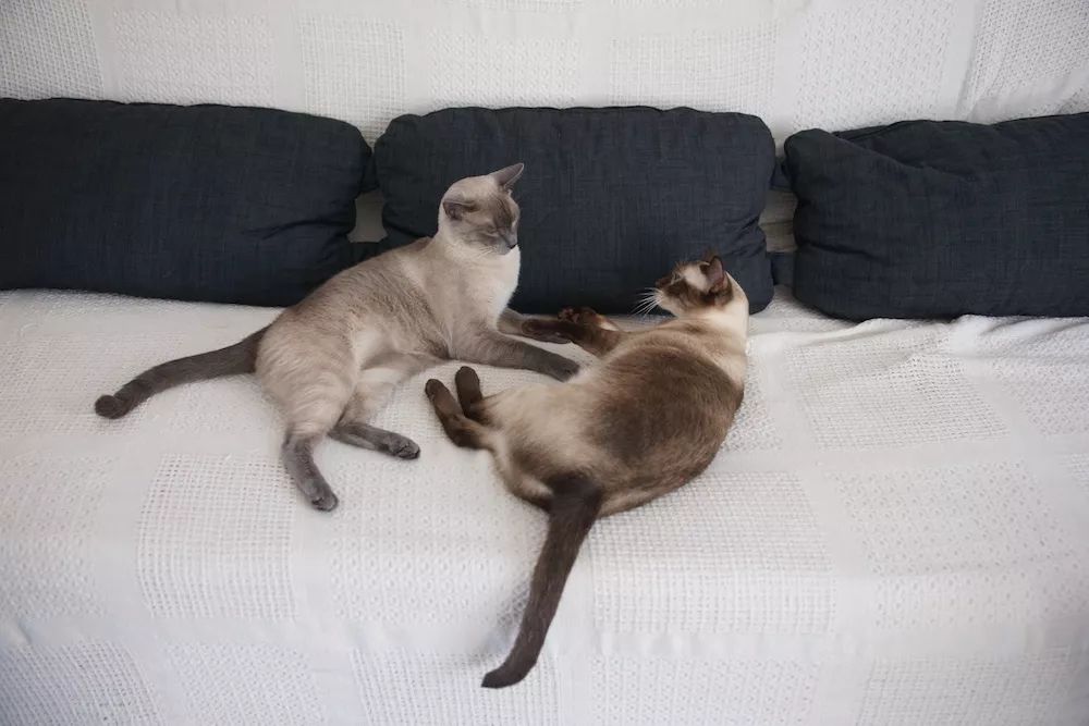 用水泥砌橱柜,用粘土捏一个好看的柜子