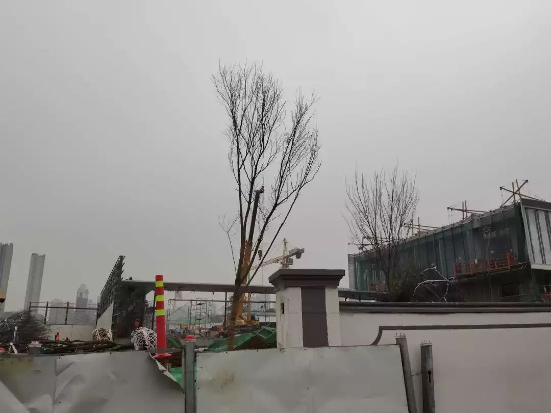 西安碧桂园云顶190大平层,航天城碧桂园云顶一期现价