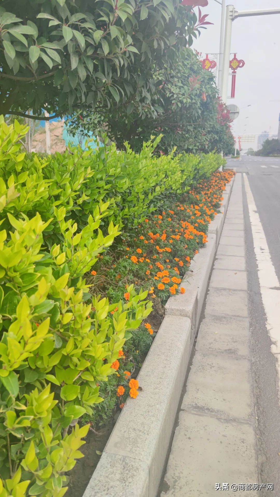 瀹炴帰鎴愮啛鏉垮潡,瀹炴帰杩愭渤鏂板煄鏉垮潡