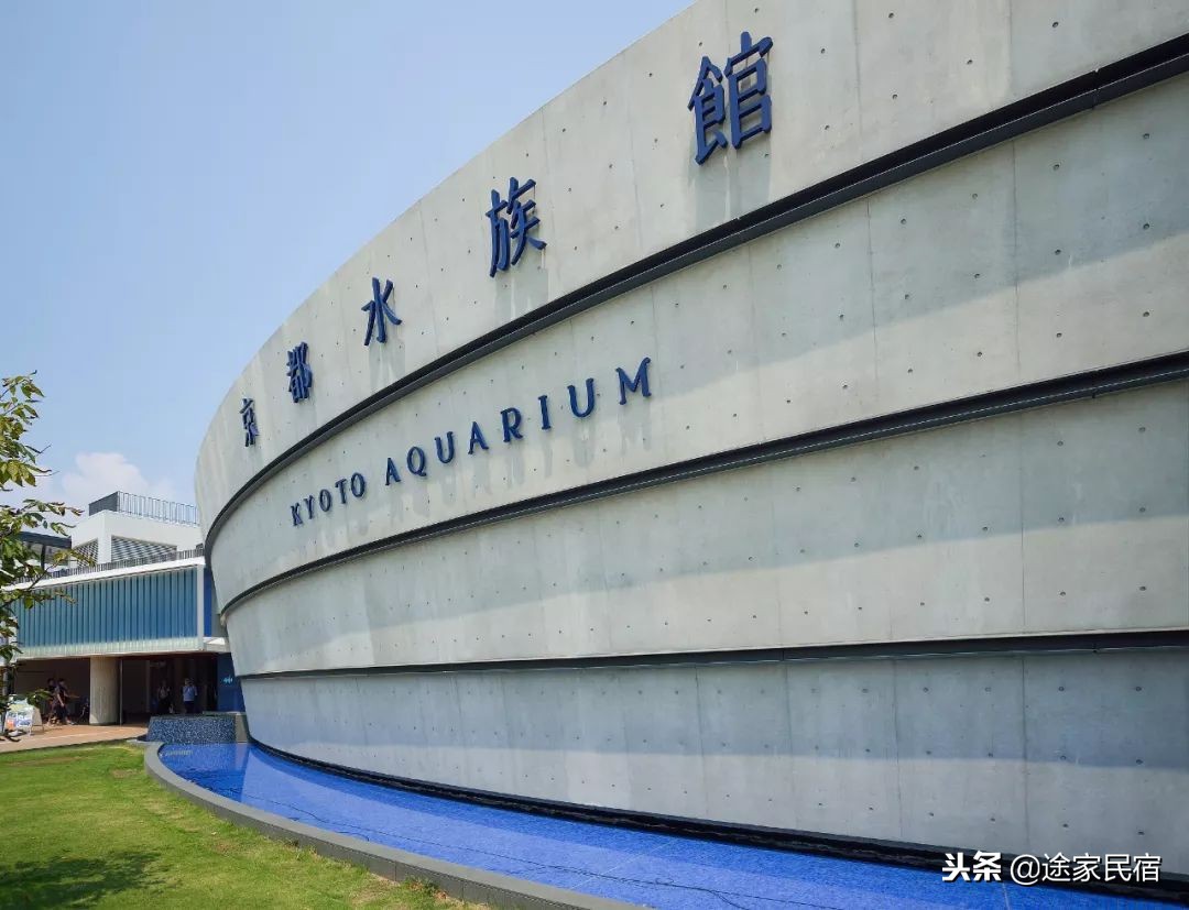 代购内幕视频,日本代购被骗怎么处理