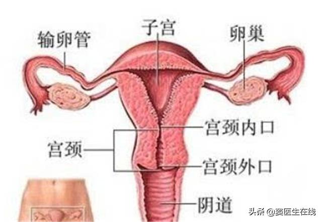 12岁女孩月经不正常是怎么回事,12岁女生没有来月经的原因是什么