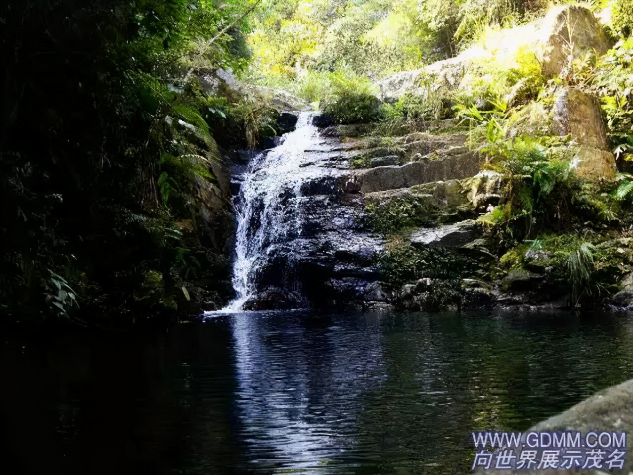 去化州一定要吃什么,化州游玩记