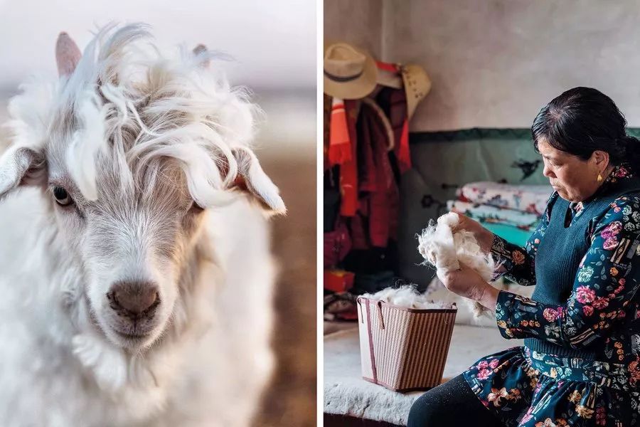 几百块的大衣和上千块大衣对比,廉价大衣和贵的对比