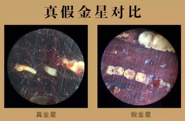 紫檀的真实身份,紫檀最后的样子