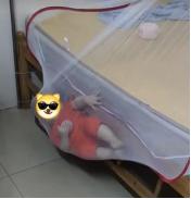 最新好用蚊帐推荐款有哪些,蚊帐哪种款式好用测评