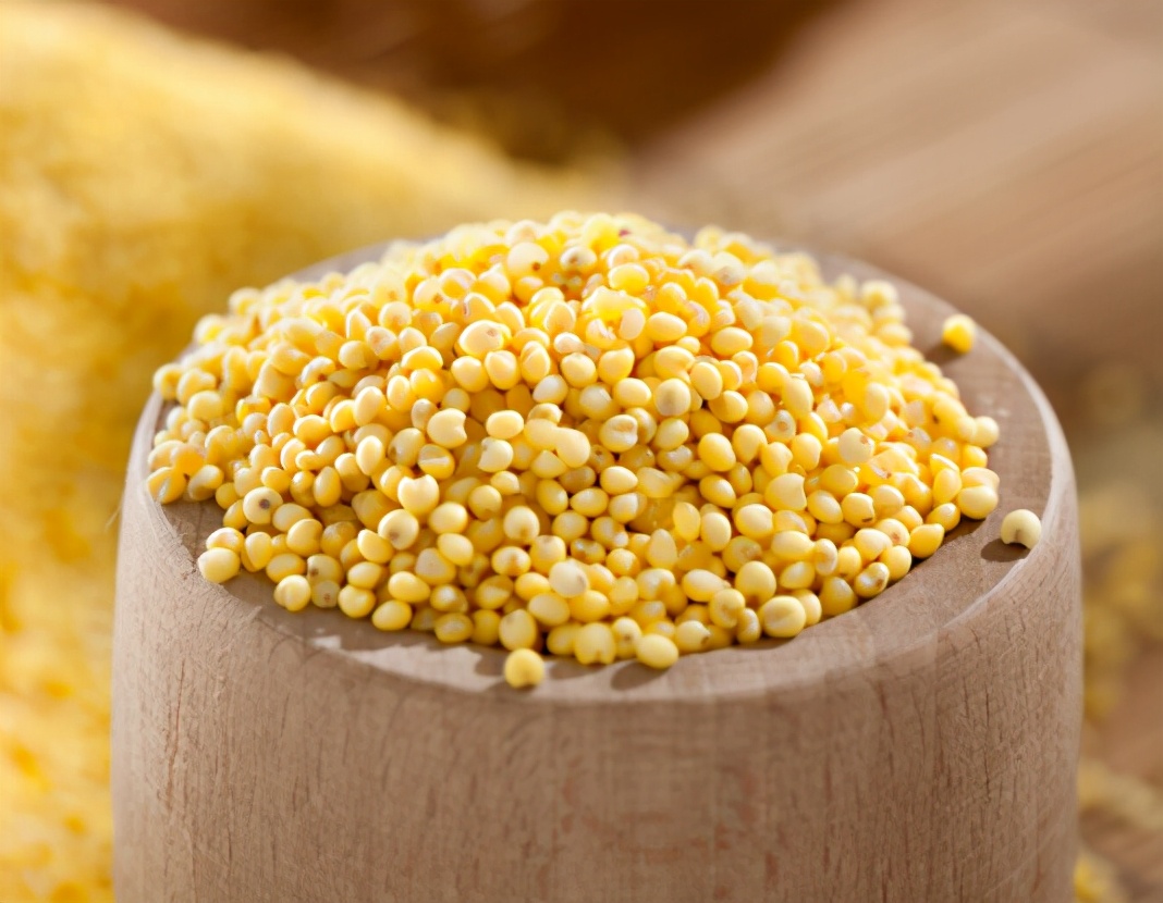 黄米和小米的区别功效与禁忌,小米黄米糯小米的区别