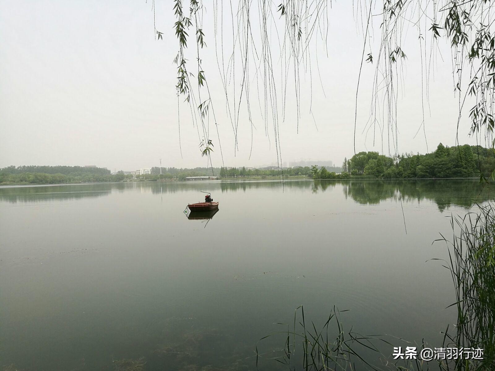 合肥有个很出名的湖,合肥有湖有公园