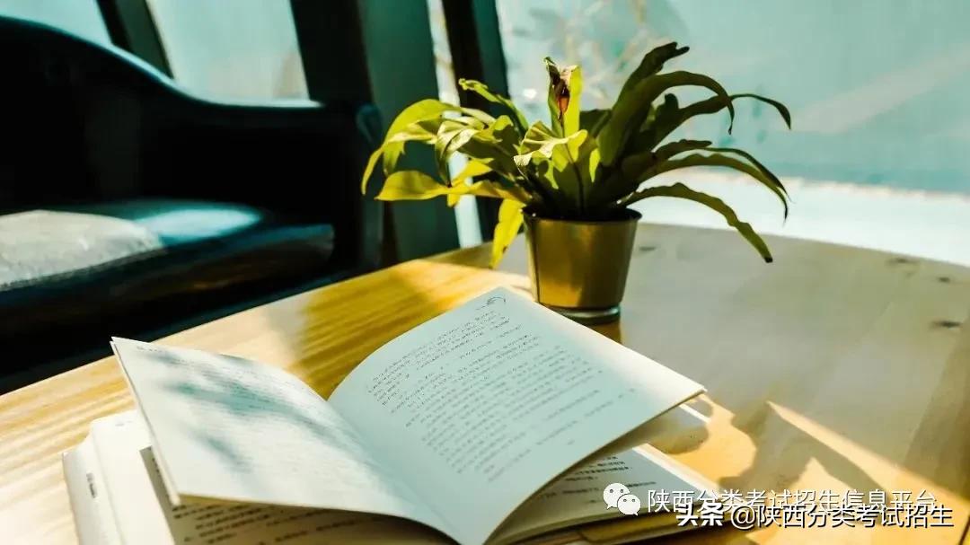 汽车领域黄埔|西安汽车职业大学