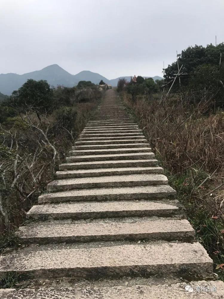 安静的尖叫,寂静的尖叫