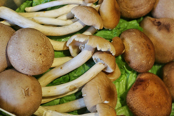 5种火锅蘸料总有一款是你想要的,清淡又下火的火锅配菜