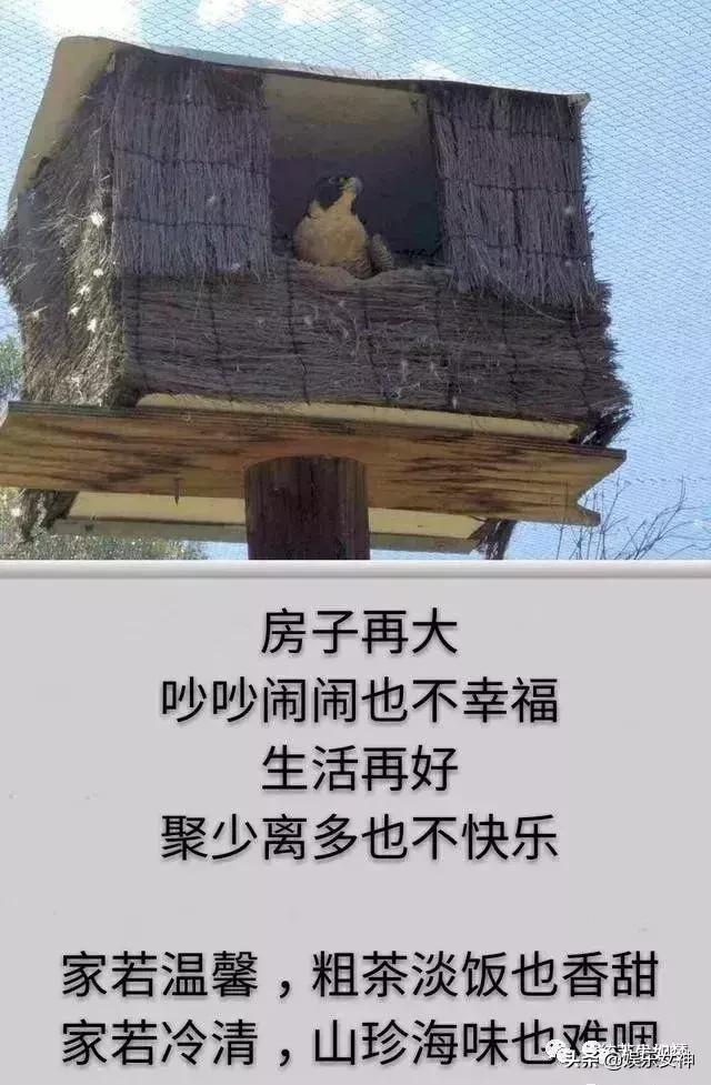 我的家庭相册文章,我的家庭相册细节