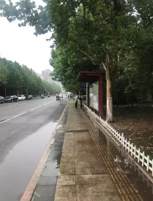 新划进光明中学的这个老小区，位置真好！还不贵