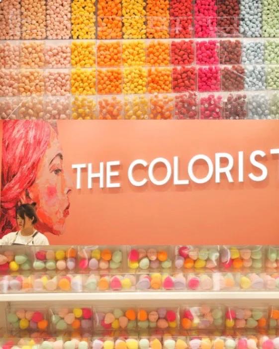 都市丽人必买化妆品,西安彩妆礼盒平价品牌推荐