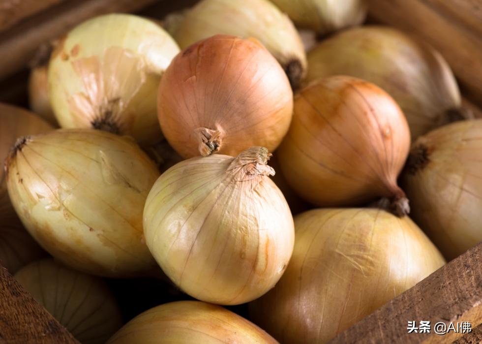 狗哪些食物不适合吃,不适合狗狗的食物