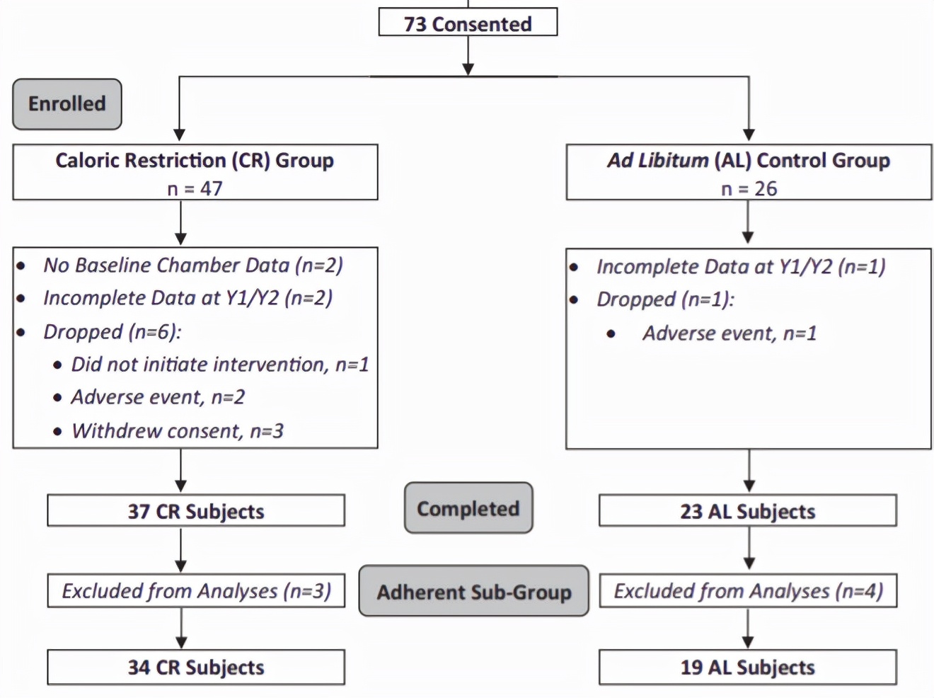 延迟衰老有诀窍,专家研究如何延缓衰老