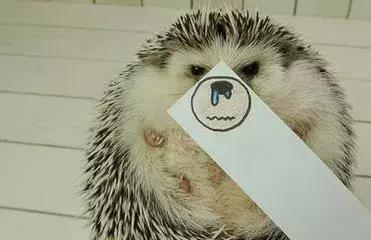 天津春节期间各大医院出诊安排,近日天津各大医院入院须知