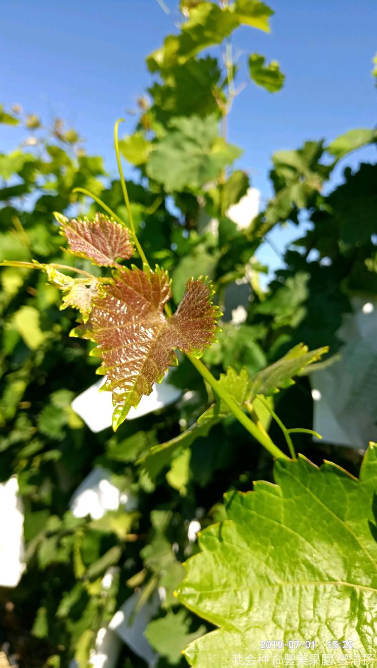 诗和远方在身边完整版,诗和远方在身边