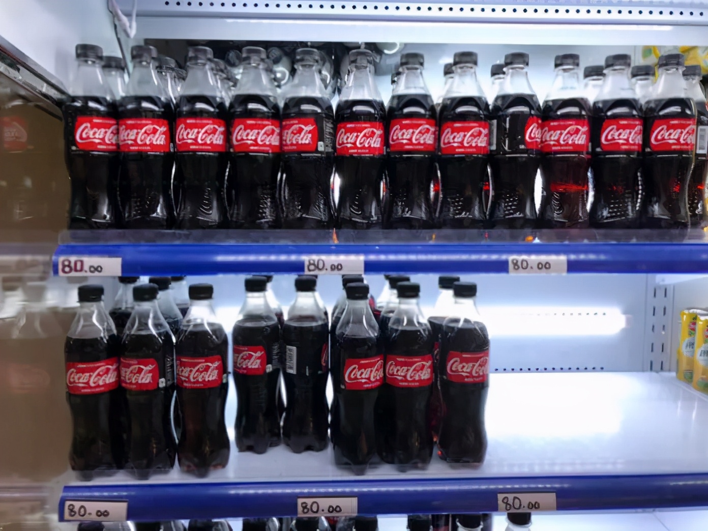 菲律宾薄荷岛宿务攻略,菲律宾宿雾机场旅游攻略风俗