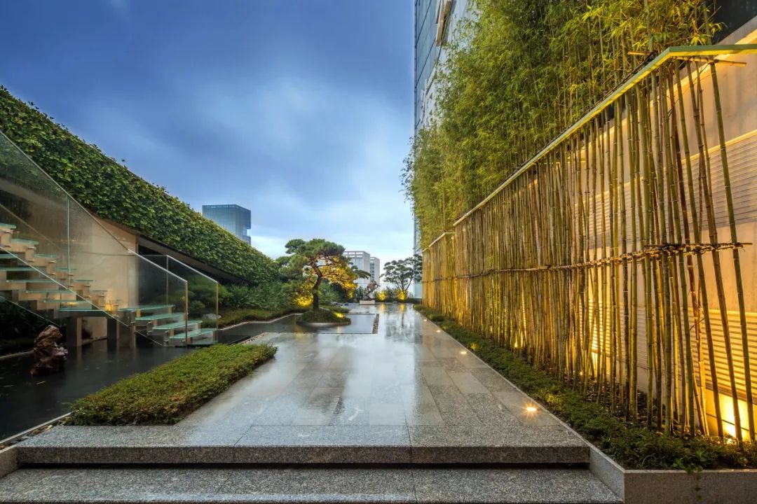 禅意景观中华文化,美学欣赏中国古典园林之美