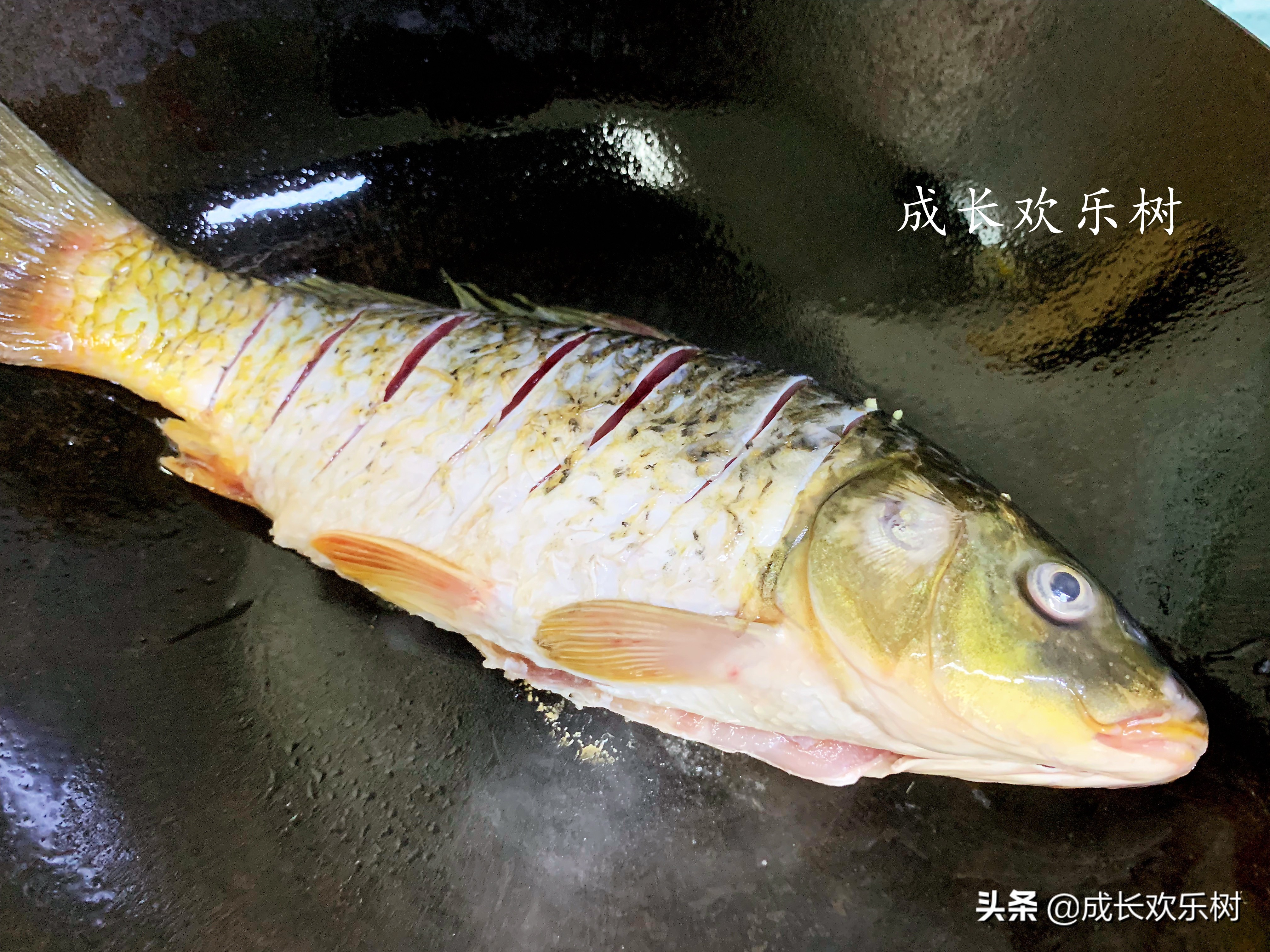 鲫鱼鱼腥味太重怎么处理,鲫鱼腥味怎么去除