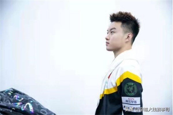 盘点初生牛犊不怕虎的幼崽,盘点初生牛犊不怕虎视频