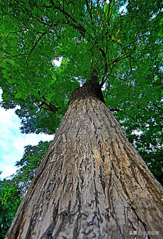 济南圩子墙老照片,济南圩子墙地图