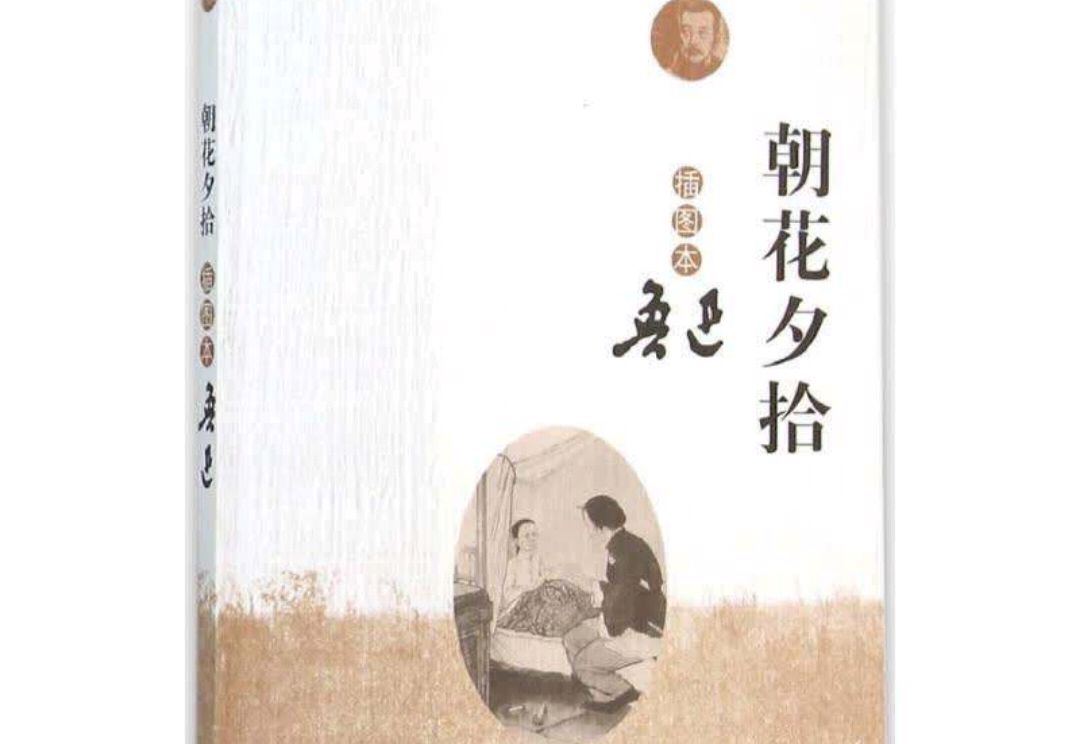 鲁迅朝花夕拾里仇猫原因,朝花夕拾中鲁迅仇猫的原因是什么