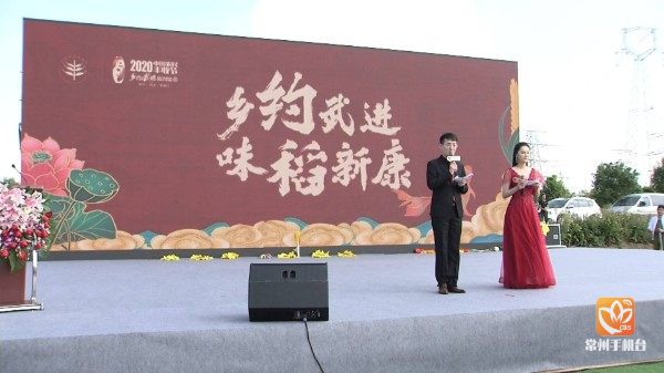 千亩稻田美如画谷穗飘香迎丰收,百亩良田稻飘香图片