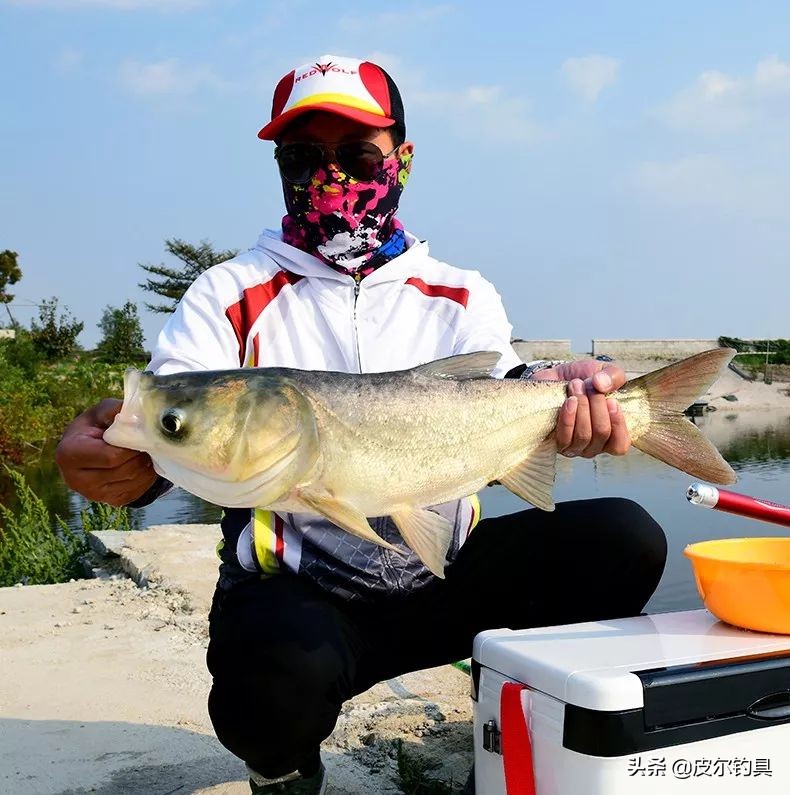 强悍巨物路亚竿,强悍鱼竿