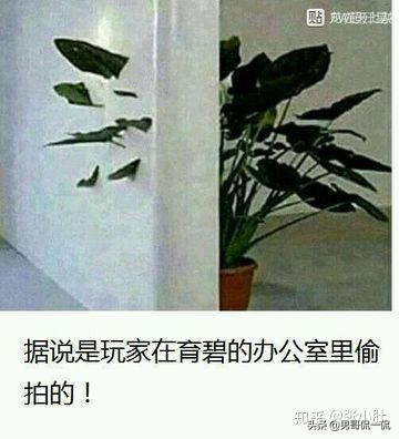 和平精英近战钢枪如何提高胜率,和平精英怎么快速提高巅峰段位